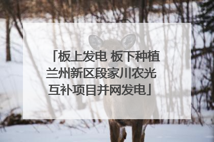 板上发电 板下种植 兰州新区段家川农光互补项目并网发电
