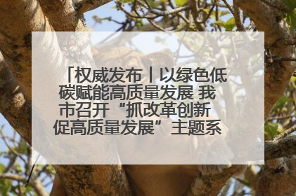 权威发布丨以绿色低碳赋能高质量发展 我市召开“抓改革创新 促高质量发展”主题系列新闻发布会第七场