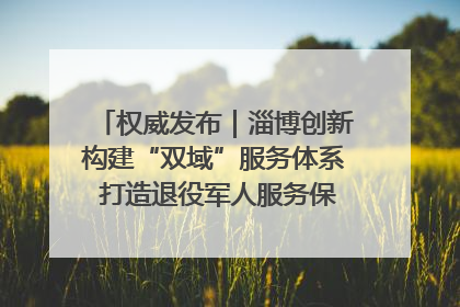 权威发布｜淄博创新构建“双域”服务体系 打造退役军人服务保障“淄博样板”