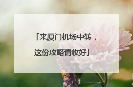 来厦门机场中转，这份攻略请收好