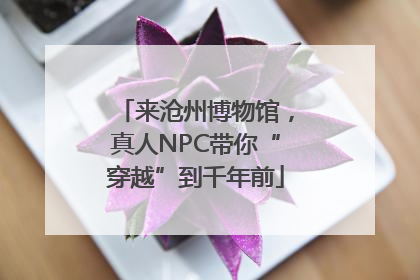 来沧州博物馆，真人NPC带你“穿越”到千年前