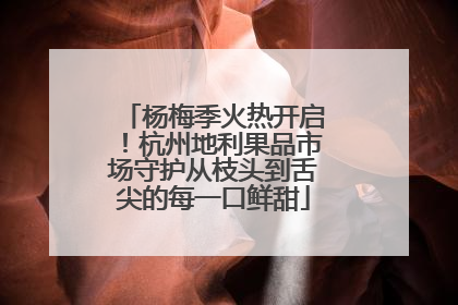 杨梅季火热开启！杭州地利果品市场守护从枝头到舌尖的每一口鲜甜