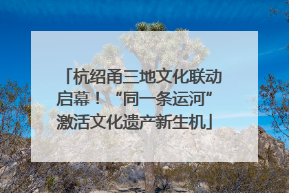 杭绍甬三地文化联动启幕！“同一条运河”激活文化遗产新生机