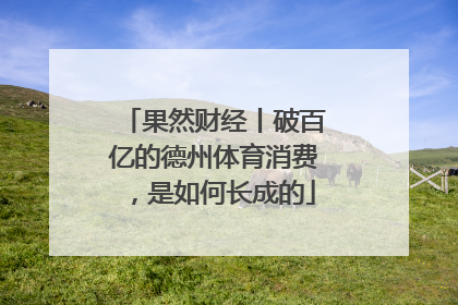 果然财经丨破百亿的德州体育消费，是如何长成的