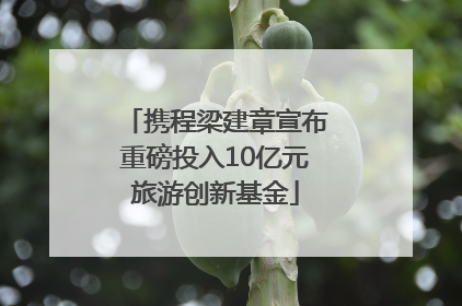 携程梁建章宣布重磅投入10亿元旅游创新基金