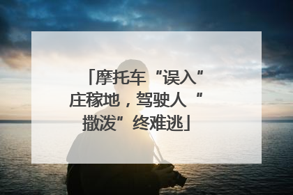 摩托车“误入”庄稼地，驾驶人“撒泼”终难逃