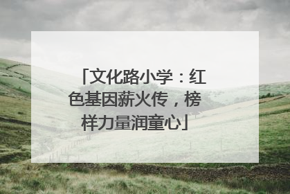 文化路小学：红色基因薪火传，榜样力量润童心