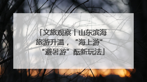 文旅观察丨山东滨海旅游升温，“海上游”“避暑游”酝新玩法
