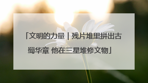 文明的力量｜残片堆里拼出古蜀华章 他在三星堆修文物