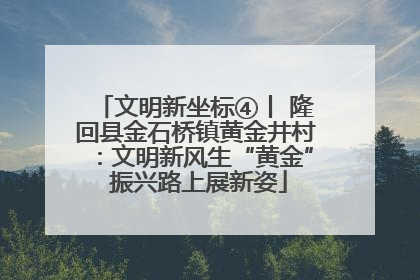 文明新坐标④丨 隆回县金石桥镇黄金井村：文明新风生“黄金” 振兴路上展新姿