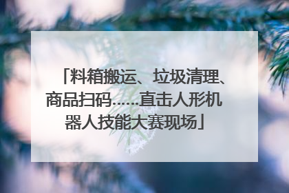 料箱搬运、垃圾清理、商品扫码……直击人形机器人技能大赛现场