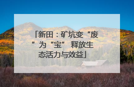 新田：矿坑变“废”为“宝” 释放生态活力与效益