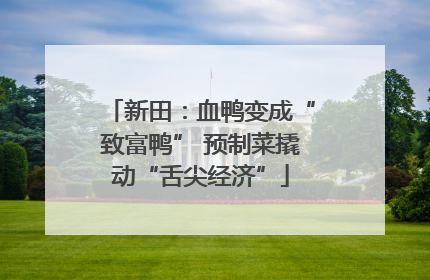 新田：血鸭变成“致富鸭” 预制菜撬动“舌尖经济”