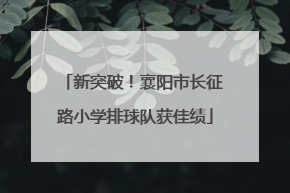 新突破！襄阳市长征路小学排球队获佳绩