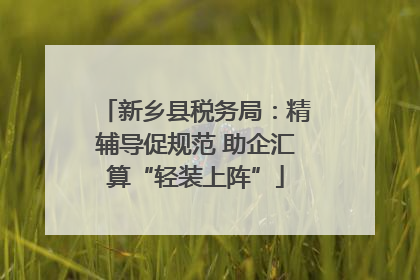 新乡县税务局：精辅导促规范 助企汇算“轻装上阵”