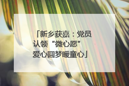 新乡获嘉：党员认领“微心愿” 爱心圆梦暖童心