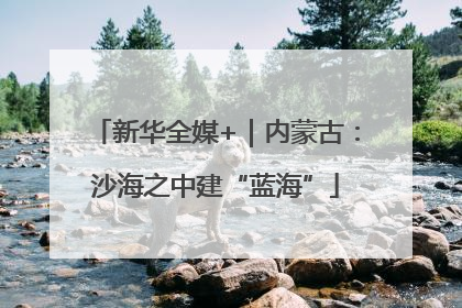 新华全媒+｜内蒙古：沙海之中建“蓝海”