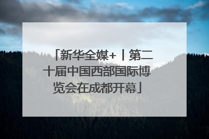 新华全媒+丨第二十届中国西部国际博览会在成都开幕
