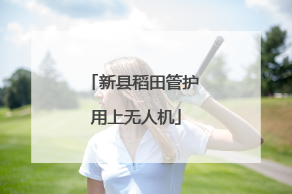 新县稻田管护用上无人机