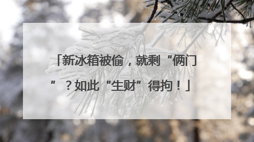 新冰箱被偷，就剩“俩门”？如此“生财”得拘！
