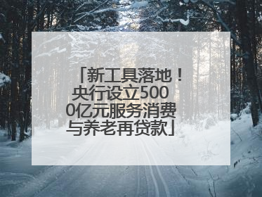 新工具落地！央行设立5000亿元服务消费与养老再贷款