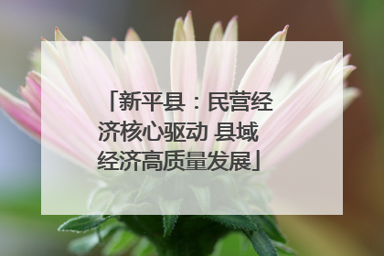 新平县：民营经济核心驱动 县域经济高质量发展