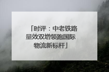 时评：中老铁路量效双增领跑国际物流新标杆