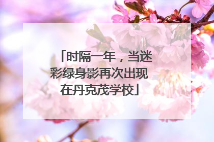 时隔一年，当迷彩绿身影再次出现在丹克茂学校