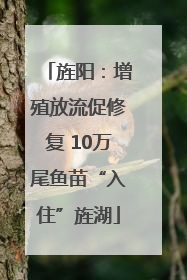 旌阳：增殖放流促修复 10万尾鱼苗“入住”旌湖