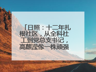 日照：十二年扎根社区，从全科社工到党总支书记，高麒滢像一株顽强的巴根草，把根深深扎进基层的土壤——“巴根草书记”的夏日叙事