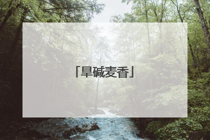 旱碱麦香