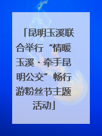 昆明玉溪联合举行“情暖玉溪・牵手昆明公交”畅行游粉丝节主题活动