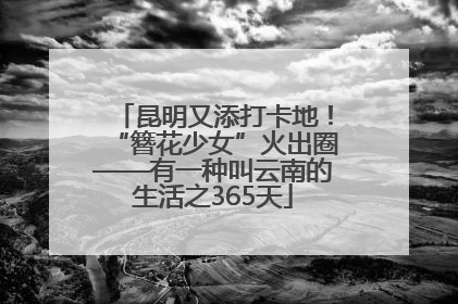 昆明又添打卡地！“簪花少女”火出圈——有一种叫云南的生活之365天
