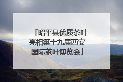 昭平县优质茶叶亮相第十九届西安国际茶叶博览会