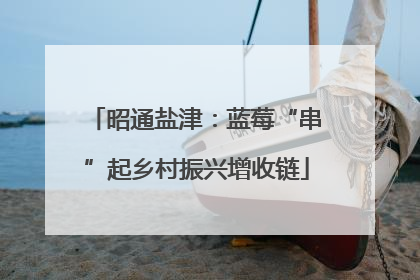 昭通盐津：蓝莓“串”起乡村振兴增收链