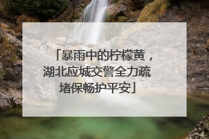 暴雨中的柠檬黄，湖北应城交警全力疏堵保畅护平安