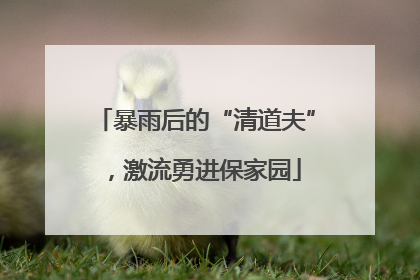 暴雨后的“清道夫”，激流勇进保家园
