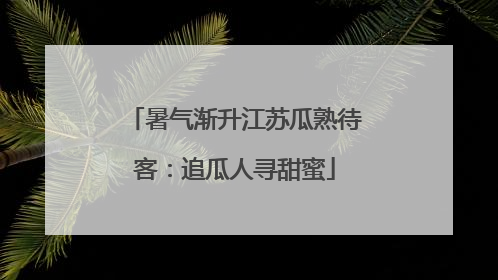 暑气渐升江苏瓜熟待客：追瓜人寻甜蜜