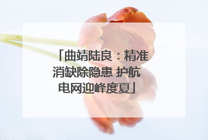 曲靖陆良：精准消缺除隐患 护航电网迎峰度夏