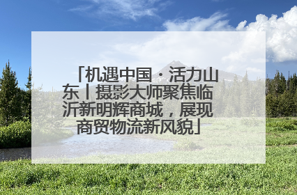 机遇中国・活力山东丨摄影大师聚焦临沂新明辉商城，展现商贸物流新风貌