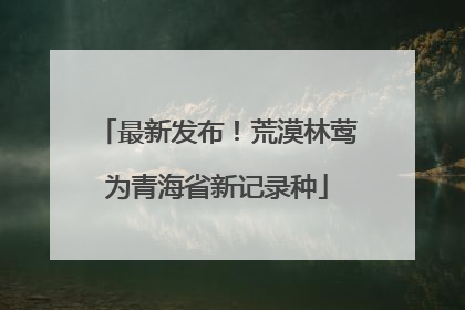 最新发布！荒漠林莺为青海省新记录种