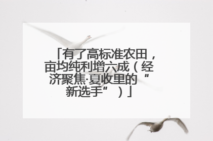 有了高标准农田，亩均纯利增六成（经济聚焦·夏收里的“新选手”）