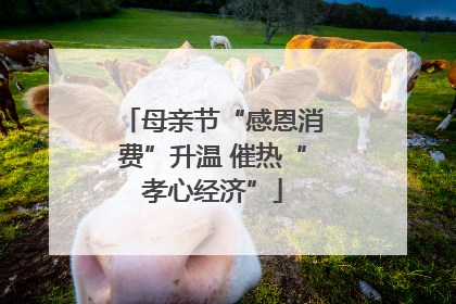 母亲节“感恩消费”升温 催热“孝心经济”