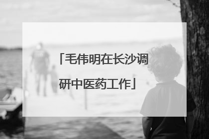 毛伟明在长沙调研中医药工作