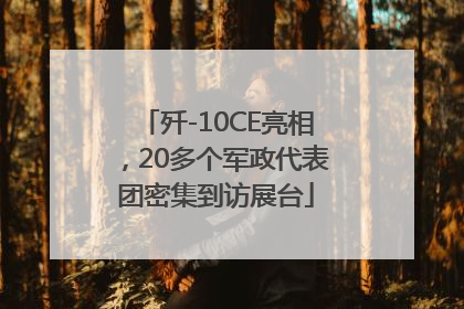歼-10CE亮相，20多个军政代表团密集到访展台