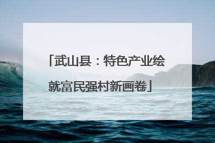 武山县：特色产业绘就富民强村新画卷