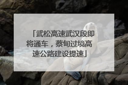 武松高速武汉段即将通车，蔡甸过境高速公路建设提速