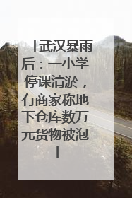 武汉暴雨后：一小学停课清淤，有商家称地下仓库数万元货物被泡