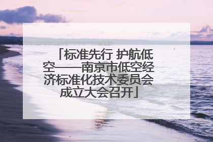标准先行 护航低空——南京市低空经济标准化技术委员会成立大会召开