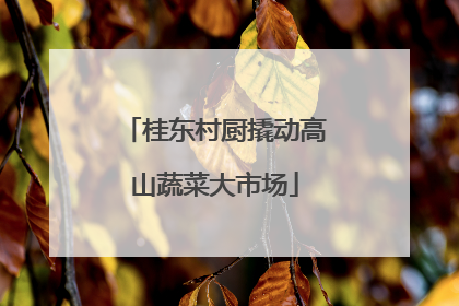 桂东村厨撬动高山蔬菜大市场